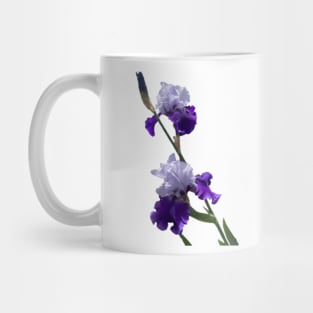 Irises Mug